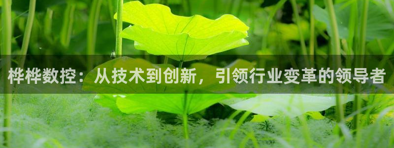 天辰娱乐1996