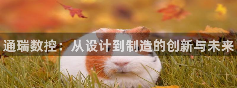 天辰娱乐728567