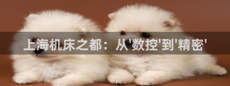天辰 娱乐注册