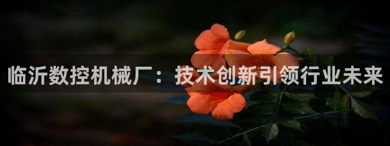 天辰娱乐官
