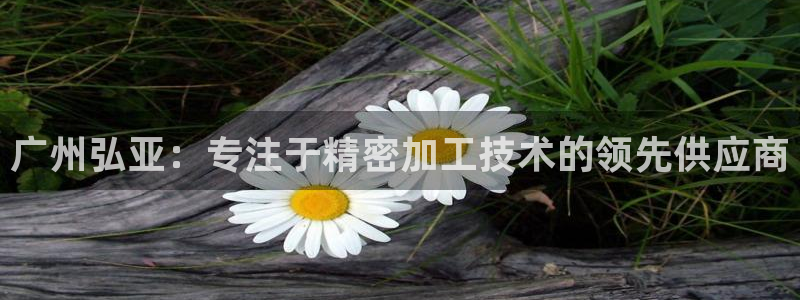 天辰娱乐集团