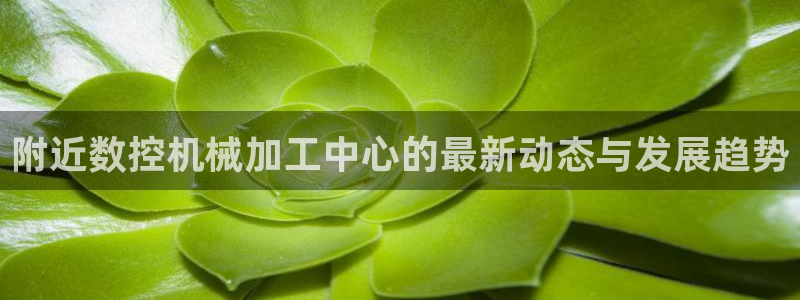 天辰娱乐链接