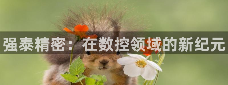 天辰娱乐_675138