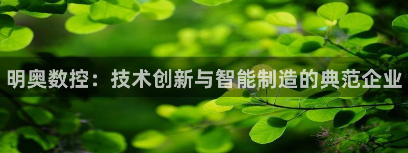 天辰彩票娱乐