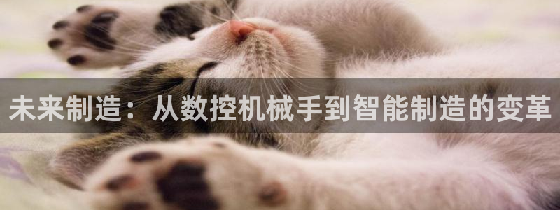 天辰娱乐登录网址