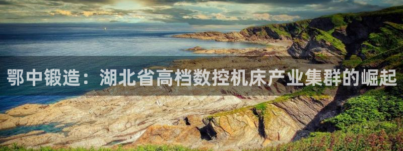 天辰娱乐鱼刺