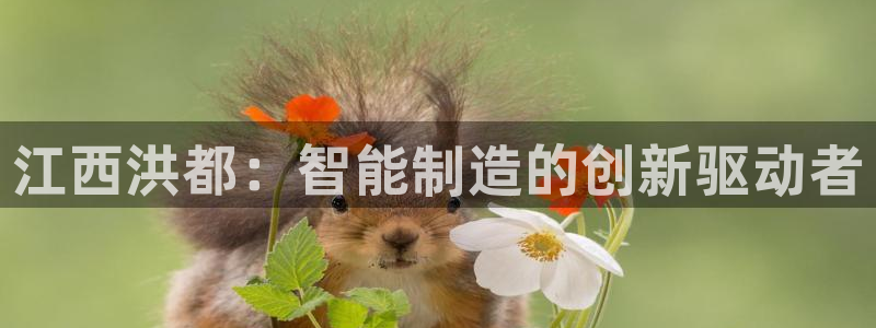 天辰娱乐招商