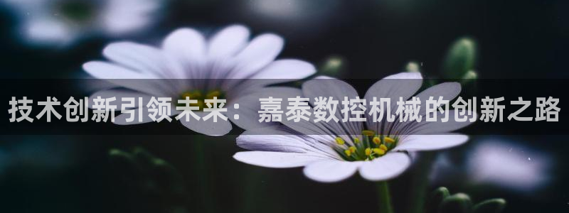 天辰娱乐新