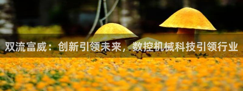 徐州天辰娱乐