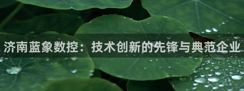 天辰娱乐平台靠谱么