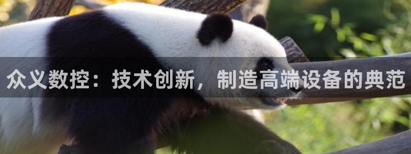 天辰娱乐所