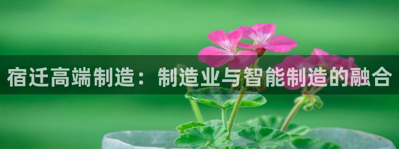 天辰娱乐首页