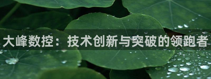 天辰娱乐1980