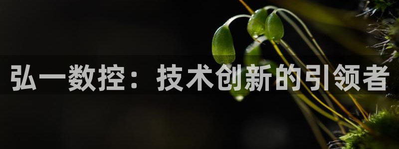 天辰彩票娱乐