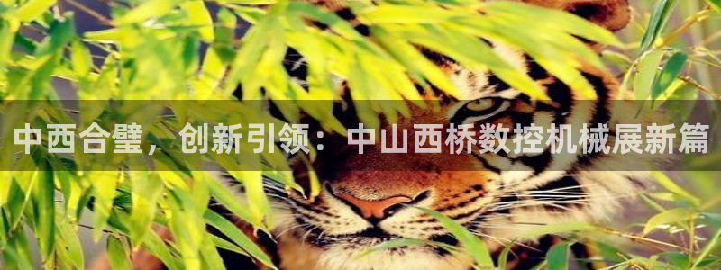 天辰娱乐赌博