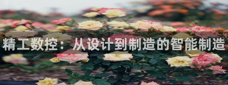 天辰娱乐best