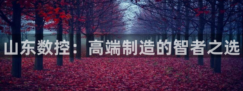 天辰娱乐新