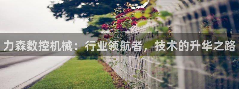 天辰娱乐代理
