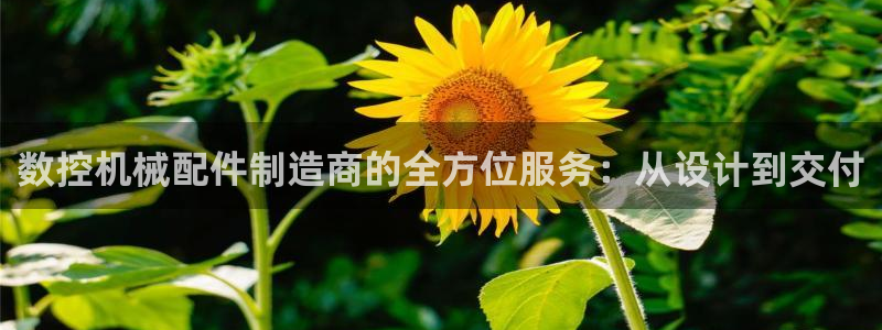 天辰娱乐登录网址