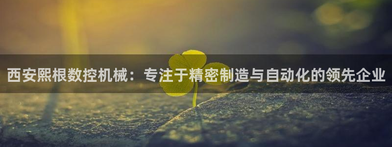 天辰娱乐总管