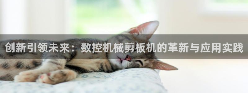 天辰娱乐待遇