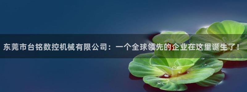 天辰娱乐的网址首页