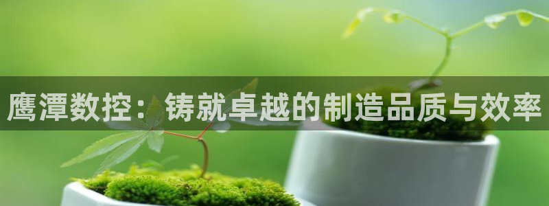 天辰娱乐 首选：鹰潭数控：铸就卓越的制造品质与效率