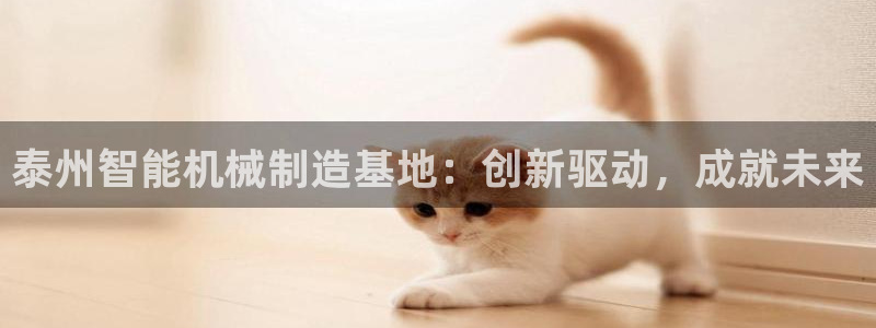深圳天辰娱乐