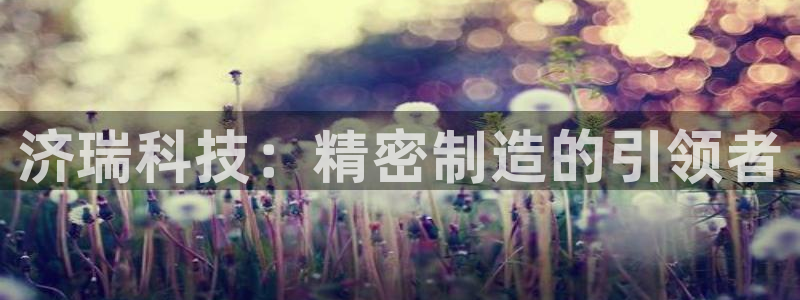 天辰臣娱乐:济瑞科技:精密制造的引领者