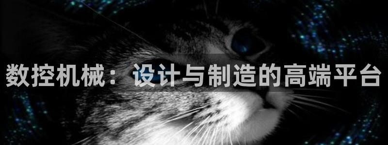 天辰娱乐厕所:数控机械:设计与制造的高端平台
