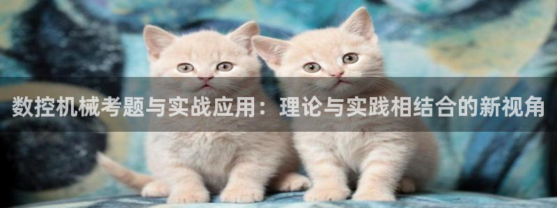 天辰宝宝娱乐