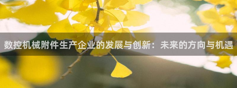 天辰娱乐481928