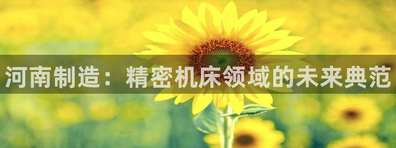 天辰娱乐平台地址