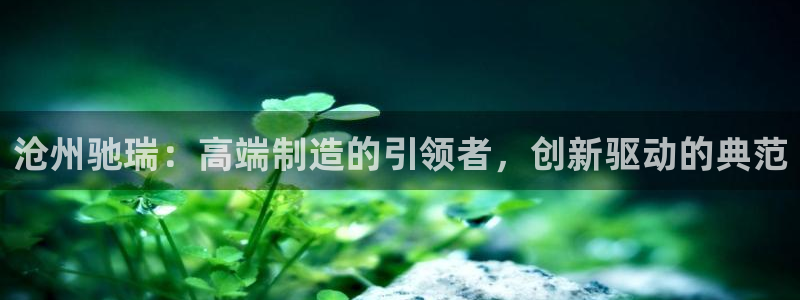 天辰娱乐指尖所：沧州驰瑞：高端制造的引领者，创新驱动的典范