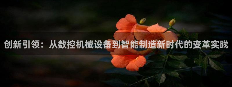 天富天辰娱乐