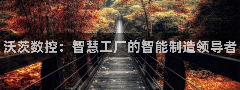天辰娱乐957807