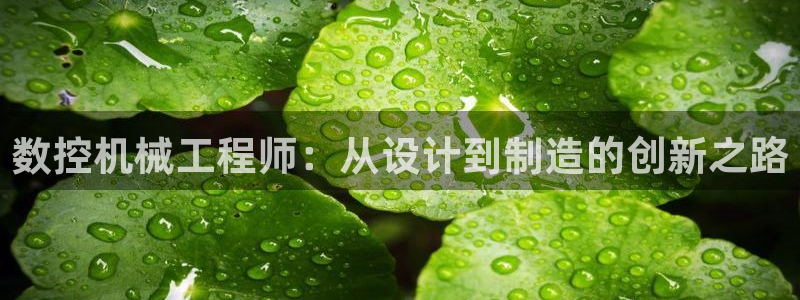 天辰娱乐44616：数控机械工程师：从设计到制造的创新之路