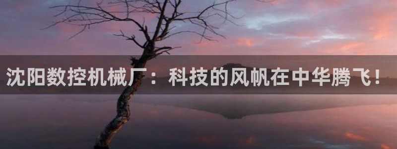 nba天辰娱乐