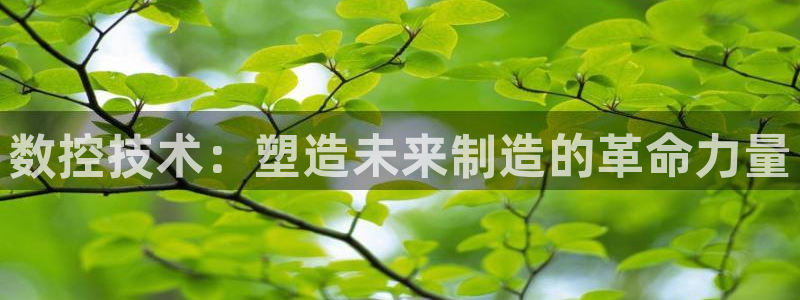 天辰a娱乐
