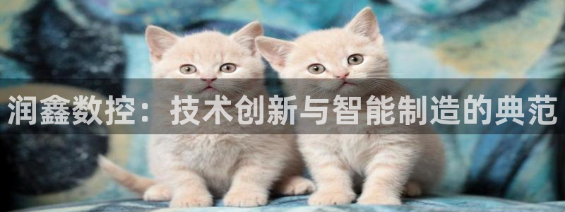 天辰娱乐总管