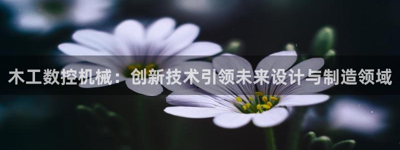 天辰娱乐扣钱