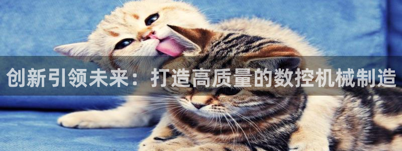 天辰娱乐总管