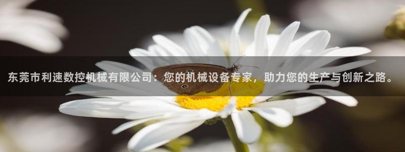 天辰娱乐 qq