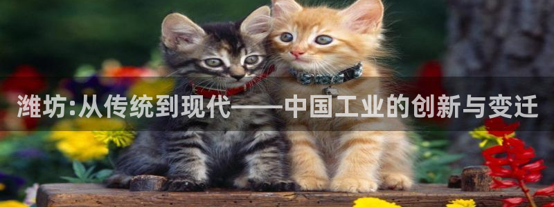 天辰娱乐天辰注册登录