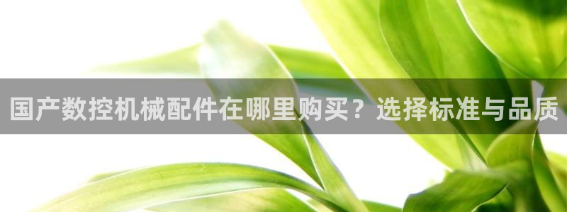 天辰2娱乐