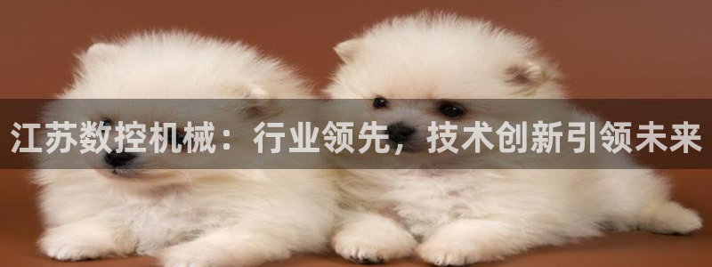 天辰娱乐说：江苏数控机械：行业领先，技术创新引领未来