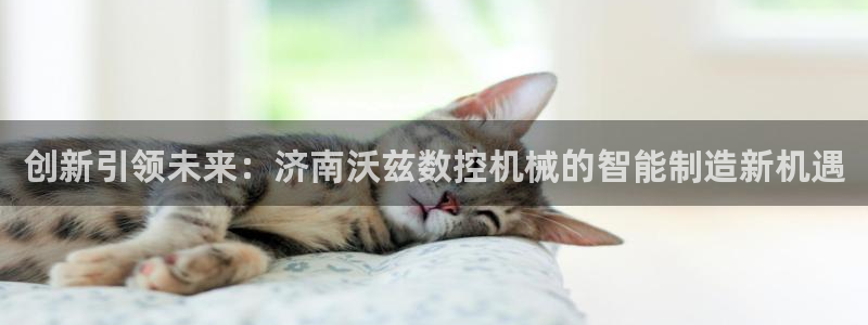 天辰娱乐平台：创新引领未来：济南沃兹数控机械的智能制造新机遇