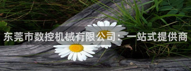 天辰娱乐公司