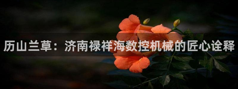 天辰娱乐官方登录入口