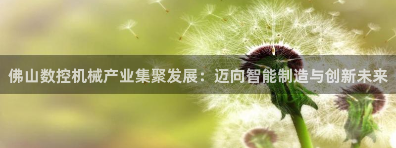 天辰娱乐线路：佛山数控机械产业集聚发展：迈向智能制造与创新未来